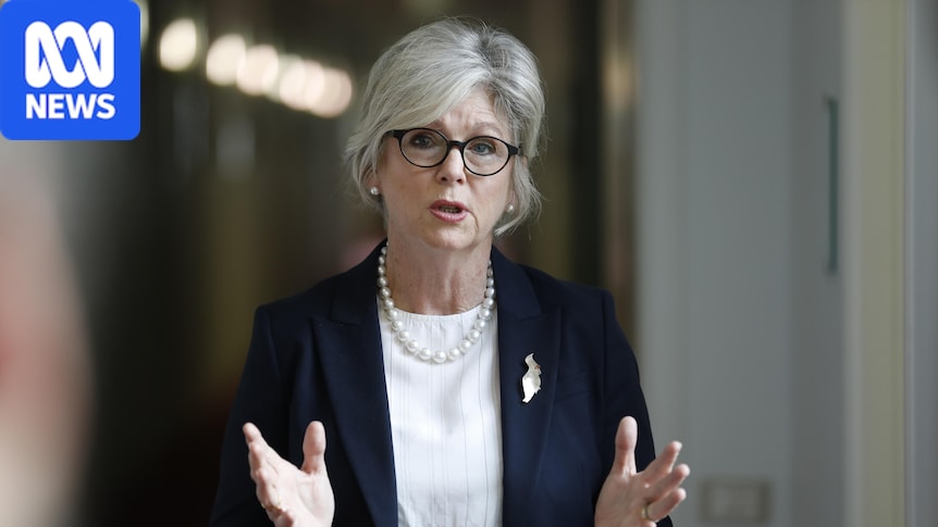 Australian MP Helen Haines critically injured in deliberate car strike outside office